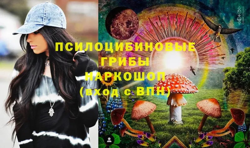 цены   Апрелевка  Галлюциногенные грибы Magic Shrooms 